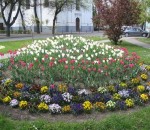 park