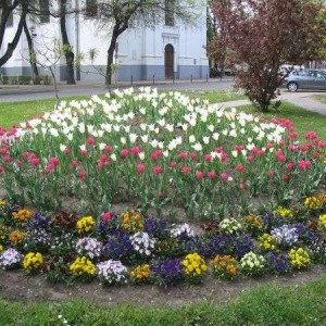 park