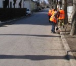 ut patkazas